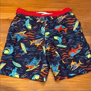 Lands End boys bathing suit